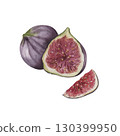 Fig fruits watercolor clipart illustration 130399950