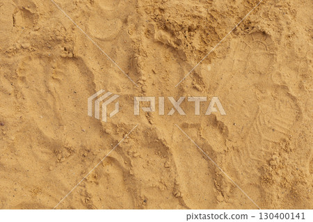A variety of footprints are imprinted in fine golden sand on the beach, showing signs of recent activity. The scene captures the essence of a calm, sunny day by the ocean A variety of footprints are imprinted in fine golden sand on the beach, showing signs of recent activity. The scene captures the essence of a calm, sunny day by the ocean 130400141