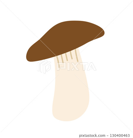 Illustration material of king oyster mushroom 130400463