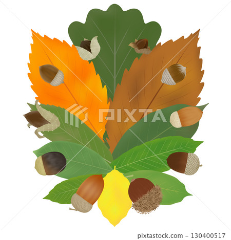 橡子和落葉的插圖 130400517