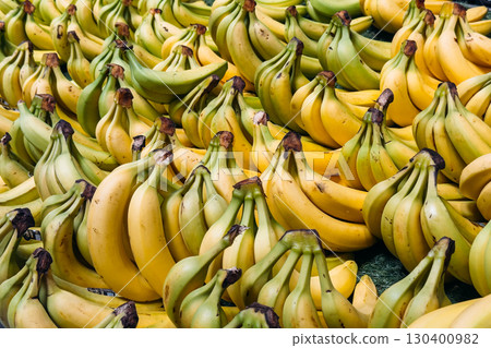 Clusters of ripe and semi-ripe bananas arranged in rows at a commercial market. Tropical fruit supply chain, global trade, international produce import, food miles Clusters of ripe and semi-ripe bananas arranged in rows at a commercial market. Tropical fruit supply chain, global trade, international produce import, food miles 130400982