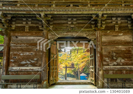 View of the torii gate with autumn leaves from the tower gate of Oyada Shrine in autumn, Mino City, Gifu Prefecture View of the torii gate with autumn leaves from the tower gate of Oyada Shrine in autumn, Mino City, Gifu Prefecture 130401089