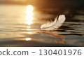 A white feather floating on the water's surface, reflecting the light of the evening sun 130401976