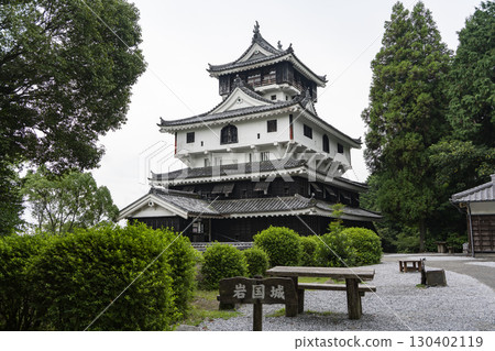 Iwakuni Castle 130402119