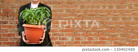 banner with a professional man and a focus on a simple and a professional gardening. gardening man banner copy space. home gardening male hobby. man with plant pot brick wall 130402489