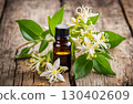 Fresh white honeysuckle essential oil provides a sense of peace, relaxation and freshness, helping to promote easier and more comfortable sleep. AI Generated 130402609