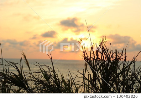 夕陽照射下的草地輪廓 130402826