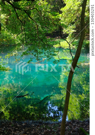 山形縣遊座町丸池 山形縣遊座町丸池 130403291