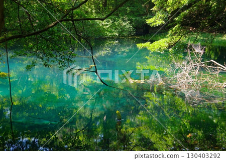 山形縣遊座町丸池 130403292