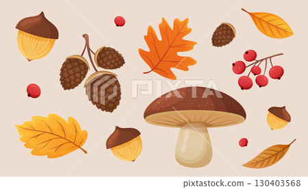 Seasonal autumn composition with mushrooms, acorns, pinecones, berries and leaves Seasonal autumn composition with mushrooms, acorns, pinecones, berries and leaves 130403568