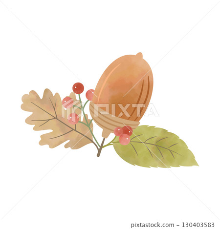 橡子、樹葉和紅色漿果的水彩插圖(棕色) 橡子、樹葉和紅色漿果的水彩插圖(棕色) 130403583