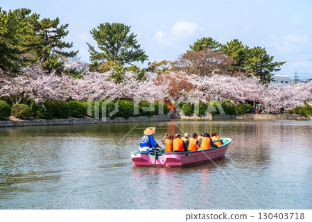 休華公園的櫻花和桑名城護城河之旅（三重縣桑名市） 130403718