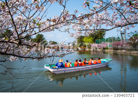Cherry blossoms at Kyuka Park and a tour of Kuwana Castle's moat (Kuwana City, Mie Prefecture) 130403721