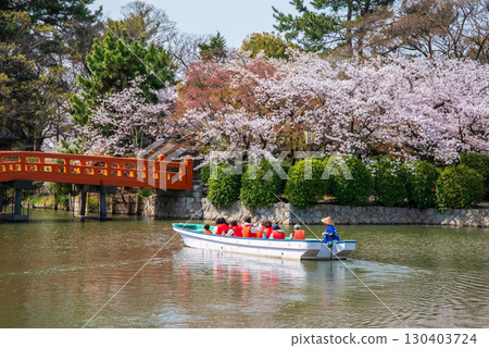 Cherry blossoms at Kyuka Park and a tour of Kuwana Castle's moat (Kuwana City, Mie Prefecture) 130403724