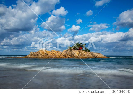 Urayasu coast 130404008