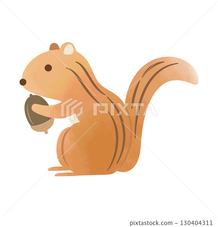Cute squirrel and acorn illustration (watercolor style, vector) Cute squirrel and acorn illustration (watercolor style, vector) 130404311