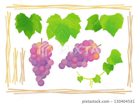 水彩葡萄插圖 130404581