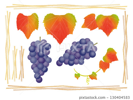 水彩葡萄插圖 130404583