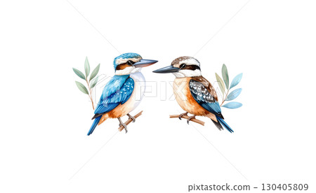 Purple roller with colorful feathers on branch isolated on white background. 130405809