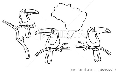 Hand drawn toucan birds and Brazil map outline. Vector illustration. Hand drawn toucan birds and Brazil map outline. Vector illustration. 130405912