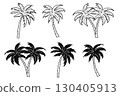 Palm tree silhouettes and line art collection. Vector illustration. 130405913