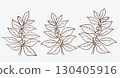 Botanical coffee branch with leaves and berries hand drawn. Vector illustration. 130405916
