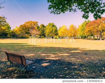 Suburban residential area Autumn park Suburban residential area Autumn park 130406913