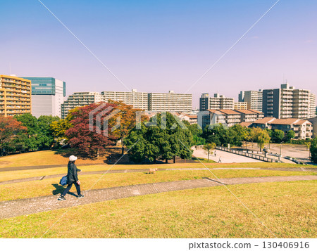 Suburban residential area Autumn park 130406916