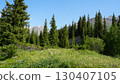 Lush green meadow and coniferous forest in ala archa national park, kyrgyzstan 130407105