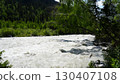 Wild river flowing through a lush green forest 130407108