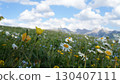 Wildflowers blooming in meadow with mountain landscape 130407111