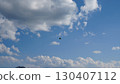 Bird flying in partly cloudy sky during daytime 130407112