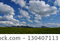 Green meadow with yellow flowers blooming near mountains under cloudy sky 130407113