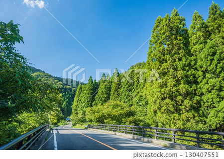 穿過滋賀縣高島市久月町針葉林的國道367號 穿過滋賀縣高島市久月町針葉林的國道367號 130407551