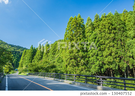 穿過針葉林的國道367號,滋賀縣 穿過針葉林的國道367號,滋賀縣 130407552