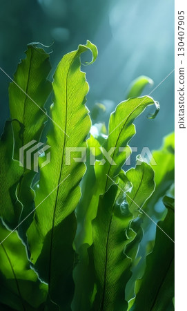 Vibrant green fern leaves illuminated by sunlight in a serene forest scene 130407905
