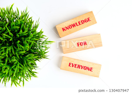 Learning for Everyone concept. Words KNOWLEDGE FOR EVERYONE made of wooden blocks on white background with green plant, top view Learning for Everyone concept. Words KNOWLEDGE FOR EVERYONE made of wooden blocks on white background with green plant, top view 130407947