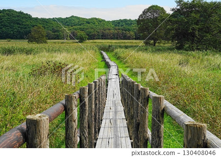 A straight boardwalk 130408046