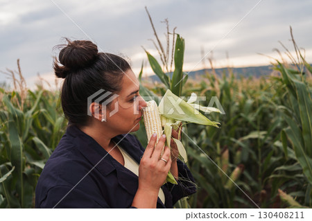 Farmer examining ripe corn on the cob in cultivated field Farmer examining ripe corn on the cob in cultivated field 130408211