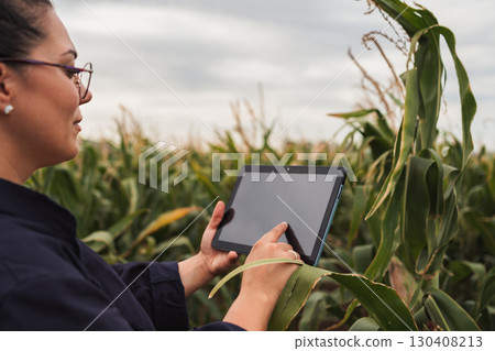 Farmer using digital tablet in corn field for quality control 130408213