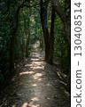 有陽光過濾通過樹的森林道路 130408514