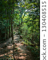 在樹林裡小徑 130408515