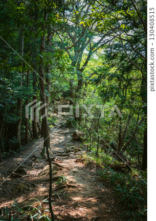 在樹林裡小徑 在樹林裡小徑 130408515