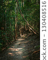 陽光透過樹木縫隙灑在健行步道上 130408516