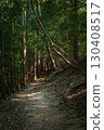 陽光透過樹木縫隙灑在健行步道上 130408517