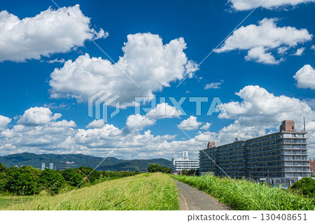 Promenade on the Yodo River embankment, Hirakata City 130408651