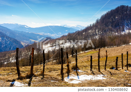 mountainous countryside on a sunny day. winter to spring season change scenery. melting snow and leafless trees on the rolling hills. view in to the distant valley of transcarpathia, ukraine 130408692