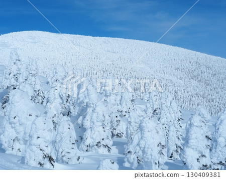 The frost-covered forest of Mt. Nishi-Azuma in the Azuma Mountain Range in winter The frost-covered forest of Mt. Nishi-Azuma in the Azuma Mountain Range in winter 130409381