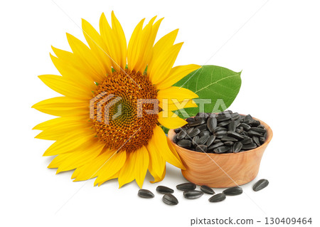 Sunflower with seeds in wooden bowl isolated on a white background 130409464