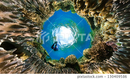 Beautiful coral reef from a fish's perspective Beautiful coral reef from a fish's perspective 130409586